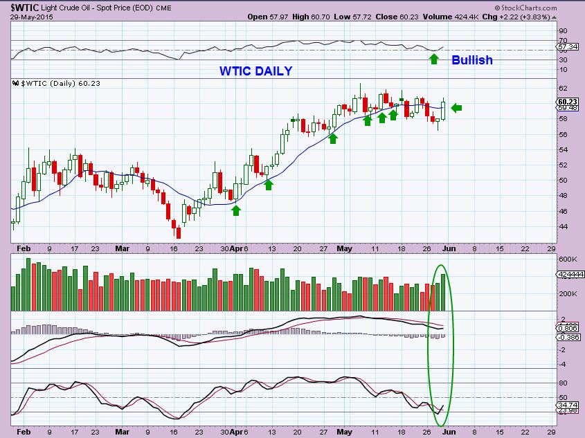 OIL DAILY
