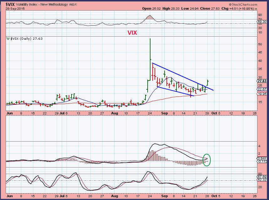 VIX 9-28
