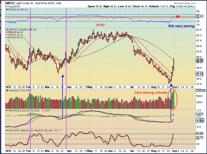 $WTIC 8-31