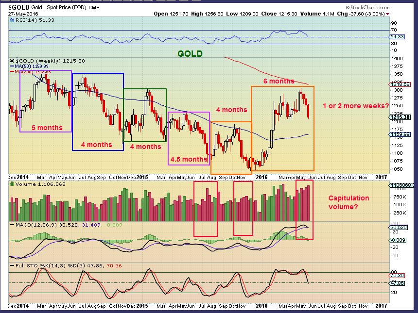 Gold Cycles | Gold Bull Market | Robert Alexander | Chart Freak