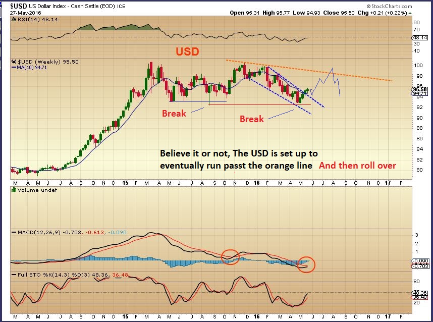 US Dollar and Gold Bull Market | Robert Alexander | Chart Freak