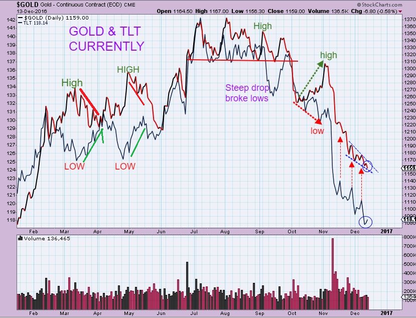 gold-tlt-12-13b